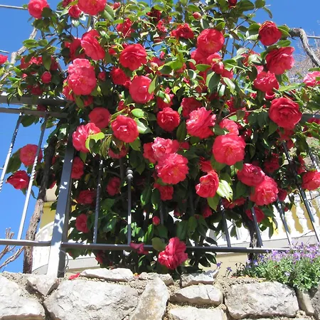 With A Parking Space Medveja, Opatija - 7721 아파트 메드베야