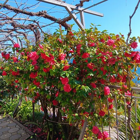 Apartment With Parking Space Medveja, Opatija - 7721